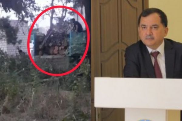 Rəcəb Babaşovun göstərişi ilə Qazaxda 