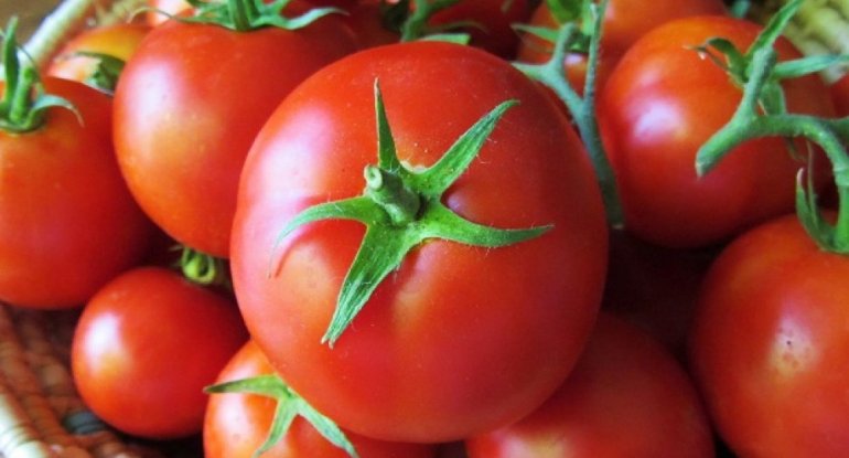 Pomidorun qiyməti bu tarixdən ucuzlaşacaq - AÇIQLAMA