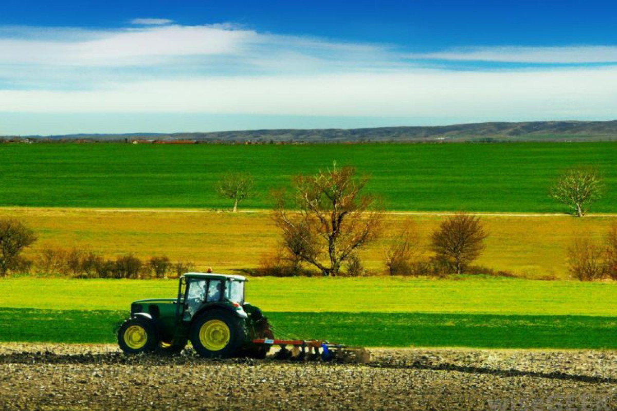 Kənd Təsərrüfatı Nazirliyinə yeni səlahiyyətlər verilib