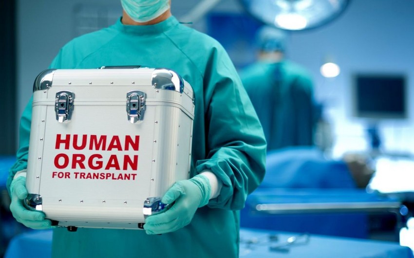 Azərbaycanda donor bankı yaradılıb, transplantasiya həyata keçirəcək mütəxəssislər hazırlanır