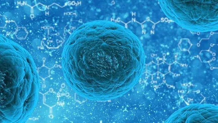 Müəmmalı hepatit hallarının sayı artır