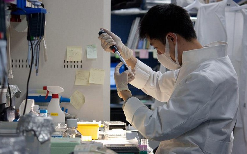 “Pfizer”in rəhbəri: “Xərçəngin müalicəsində hədəfə yaxınıq”