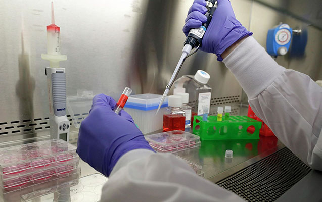 Daha bir ölkədə meymunçiçəyinə yoluxma aşkar olundu