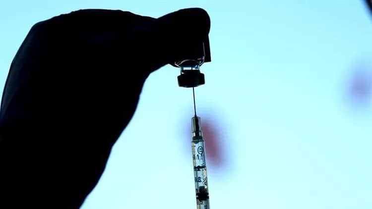 Almaniyada meymun çiçəyinə qarşı tədbir görürülür