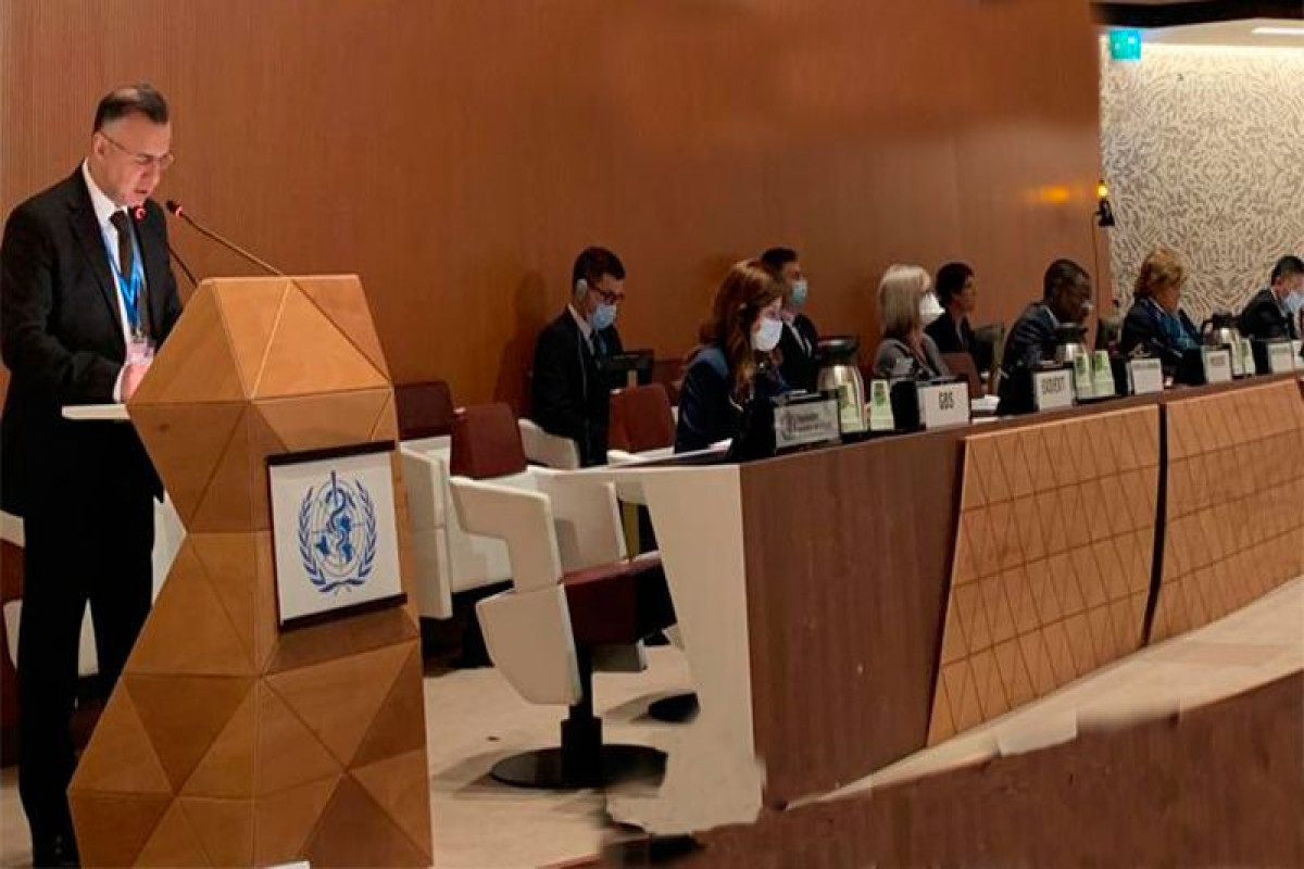 Teymur Musayev Ermənistan nümayəndə heyətinin iddialarına cavab verib