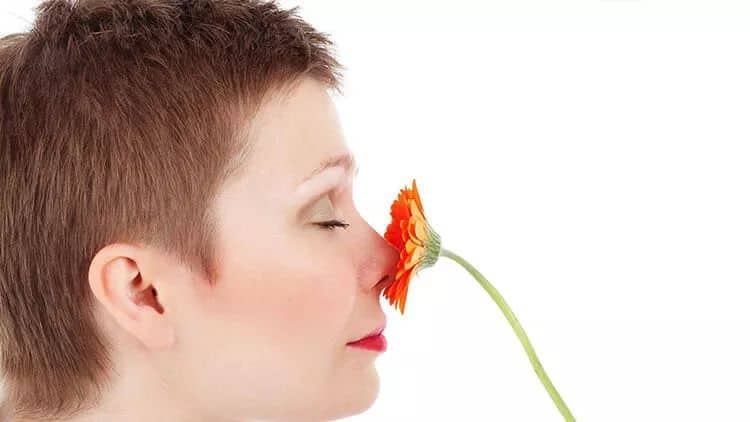 Koronada qoxu itkisinin səbəbi tapıldı