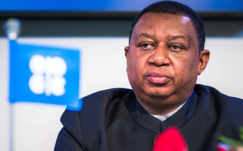 OPEC-in Baş Katibi: “Enerji keçidində ölkələrin fərqli məsuliyyətləri nəzərə alınmalıdır”