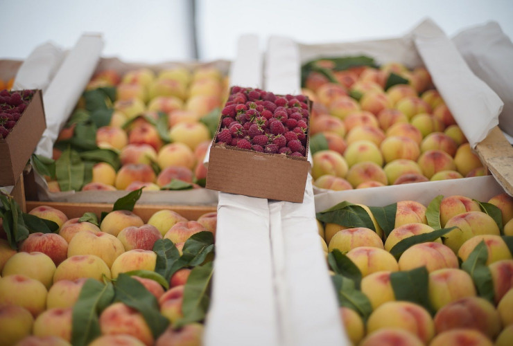 Bakı və Abşeronda “Kənddən Şəhərə” həftəsonu yarmarkaları keçiriləcək