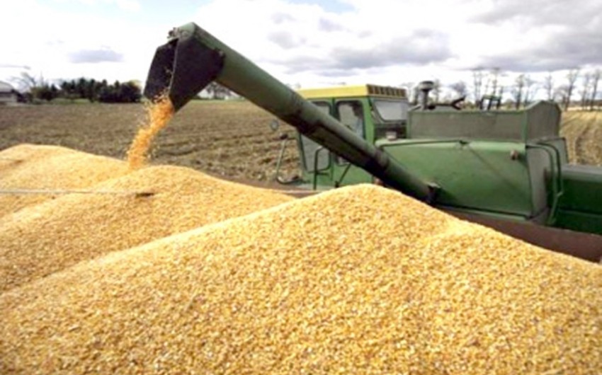 Türkiyə Ukraynadan taxıl ixracına töhfə verməyə hazır olduğunu açıqlayıb