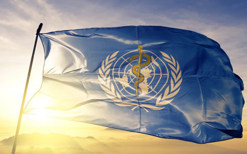 ÜST: Meymunçiçəyinin digər qeyri-endemik ölkələrə keçmə riski realdır