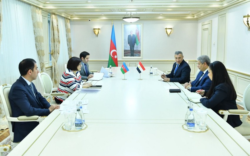 Sahibə Qafarova Misirin Azərbaycandakı səfiri ilə görüşüb