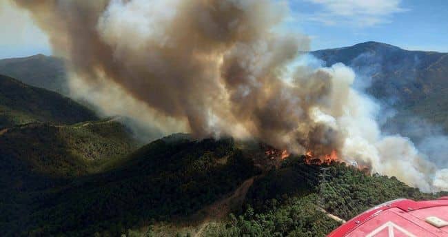 İSPANİYADA MEŞƏ YANĞINI : 3 nəfər xəsarət alıb
