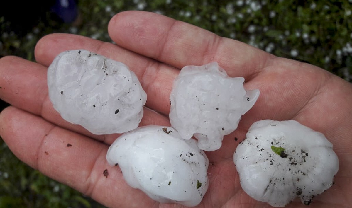 Daşkəsəndə güclü leysan və dolu yağışı təbii fəlakətə səbəb olub