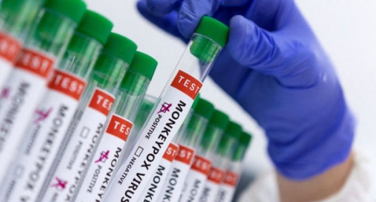 Meymunçiçəyi daha bir Avropa ölkəsində aşkarlandı