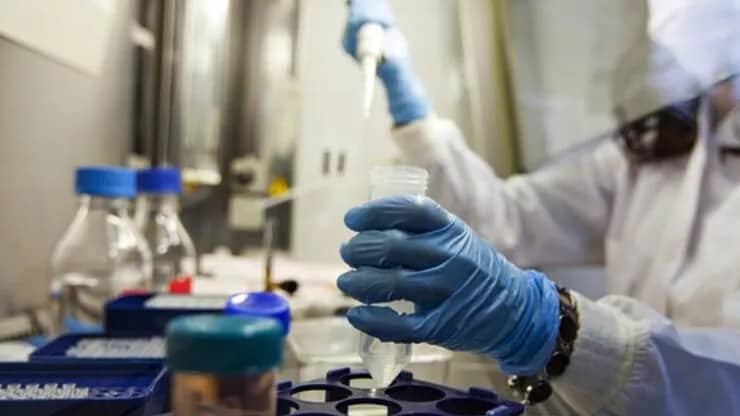 Polşada ilk meymunçiçəyi yoluxması görülüb