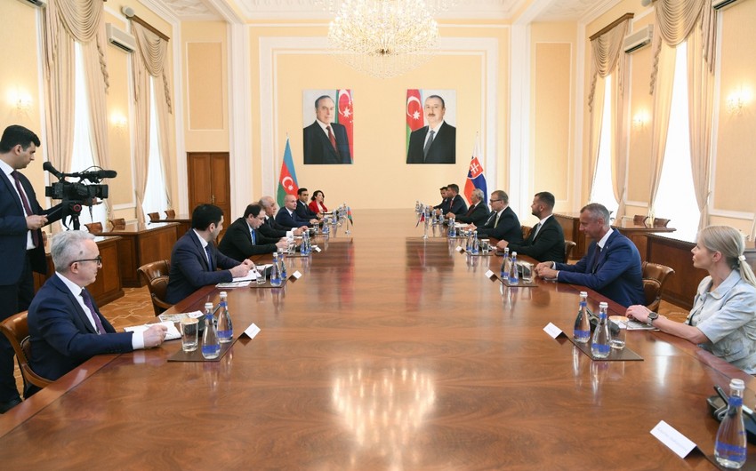 Əli Əsədov Slovakiya Milli Şurasının sədri ilə görüşüb