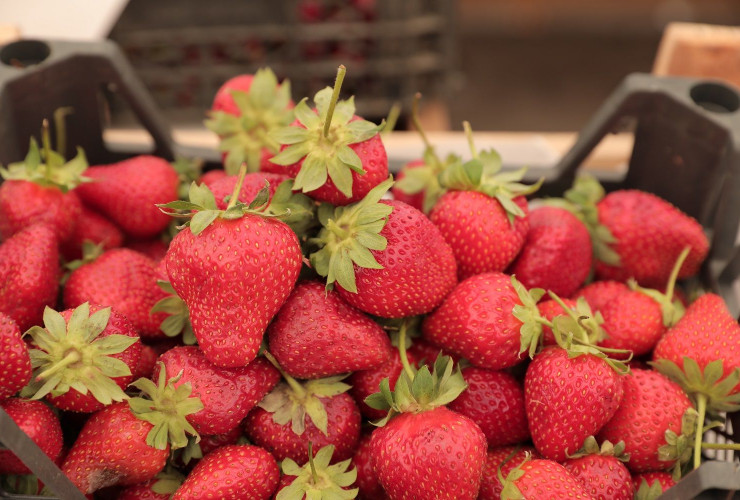 18-19 iyun tarixlərində “Kənddən Şəhərə” həftəsonu yarmarkaları fəaliyyət göstərəcək