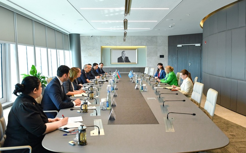 Azərbaycan və BMT Qarabağda həyata keçirilən layihələri müzakirə edib