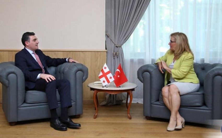 Gürcüstan XİN başçısı Türkiyə səfiri ilə vida görüşü keçirib