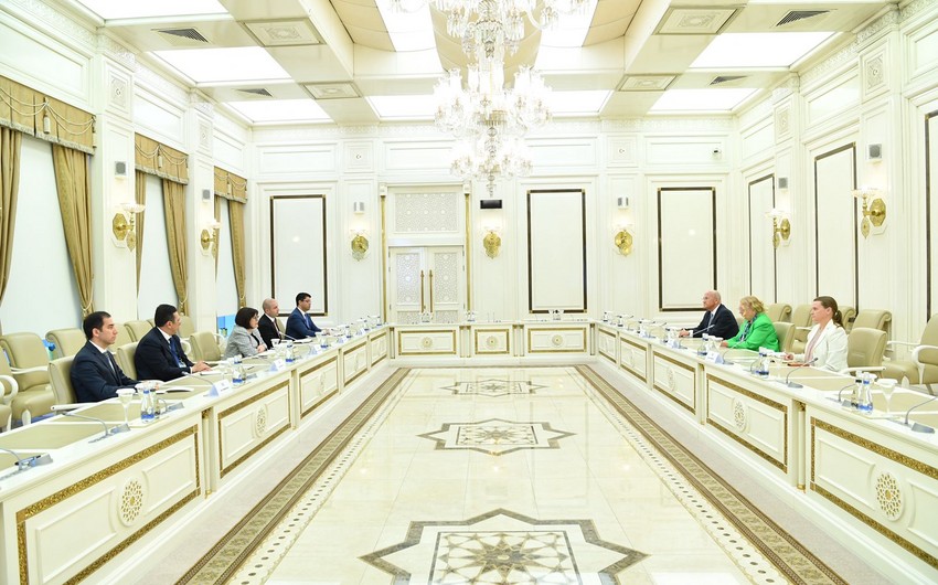 Sahibə Qafarova BMT Baş katibinin müavini ilə görüşüb