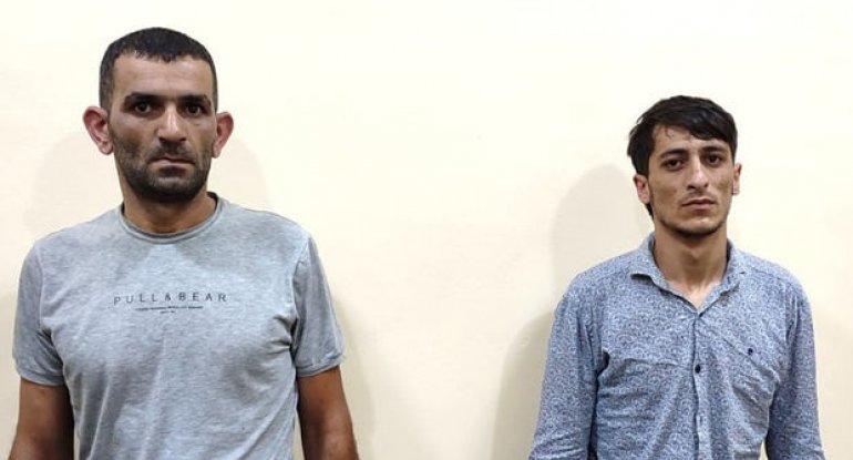 15 baş qoyunu “07” ilə oğurladılar