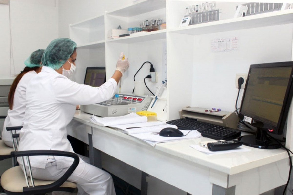 Meyit qalıqları ilə bağlı 282 molekulyar-genetik ekspertiza keçirilib