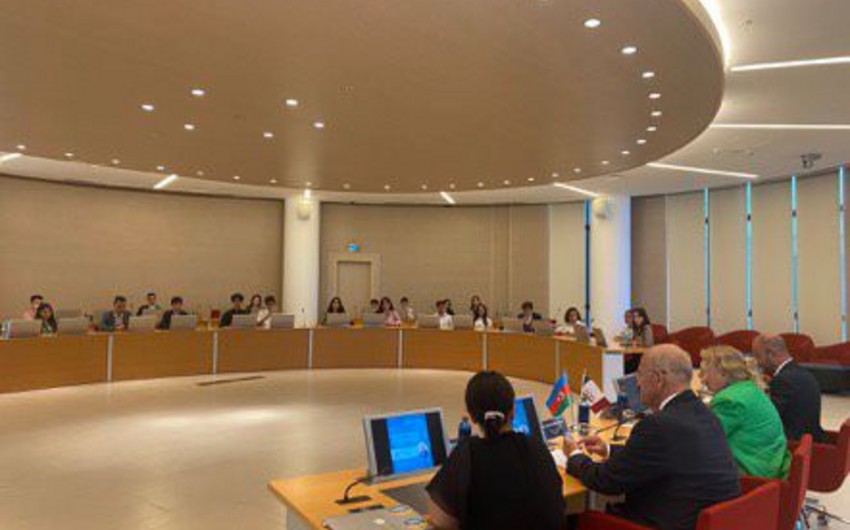 BMT rəsmisi Azərbaycanın təşəbbüsü ilə Gənclər Şəbəkəsinin yaradılmasını təqdir edib