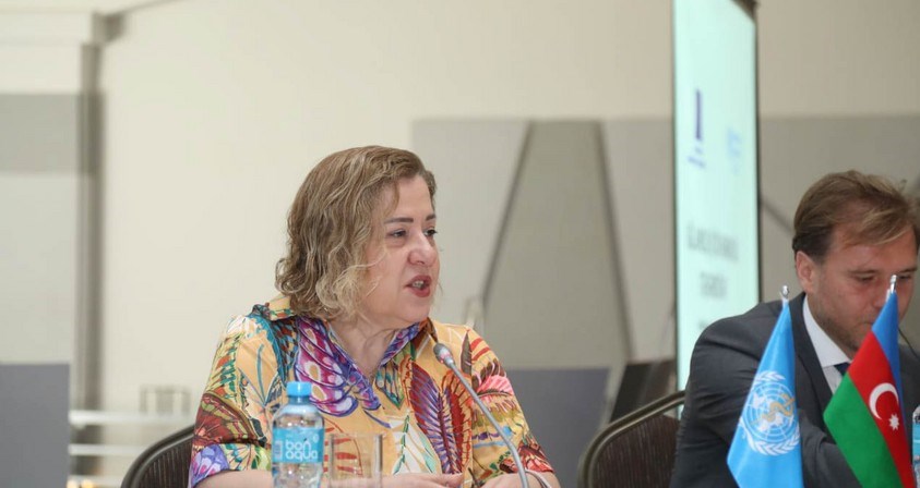 ÜST Azərbaycana meymunçiçəyi virusunu təsbit edən test göndərəcək