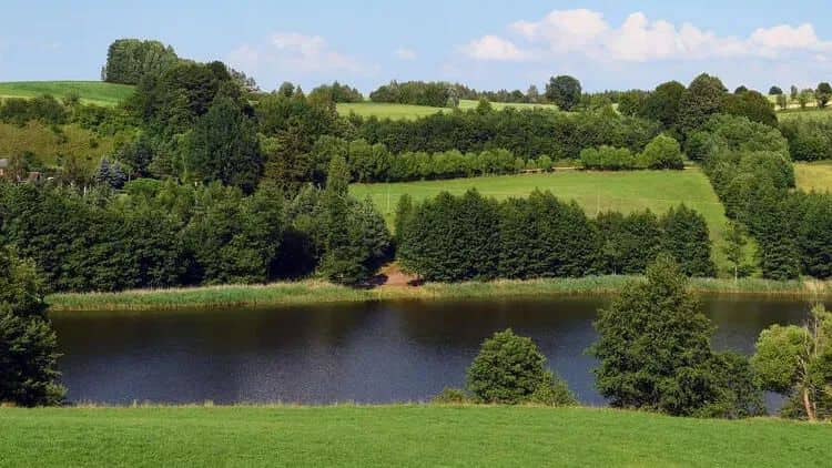 Bu bayramda 19 nəfər həyatını itirib