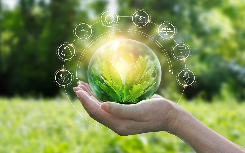 Qarabağda yaşıl texnologiyalar üzrə istehsal və xidmət sahələri yaradılacaq