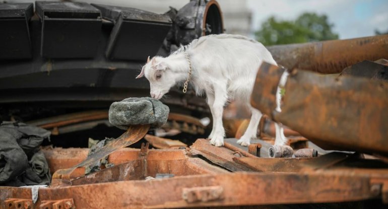 Ruslar Ukraynada qazdıqları 