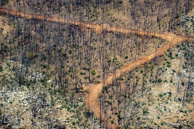 Türkiyədən sevindirici xəbər: Marmarisdə yanğın nəzarətə götürüldü