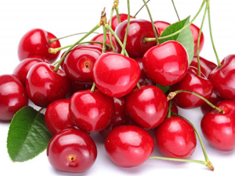 Yaponiyada 1 ədəd albalı 296 dollara satılıb