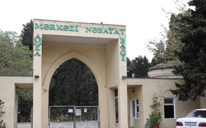 “Mərkəzi Nəbatat Bağı” və “Dendrologiya Bağı”nın nizamnamələri təsdiq edilib
