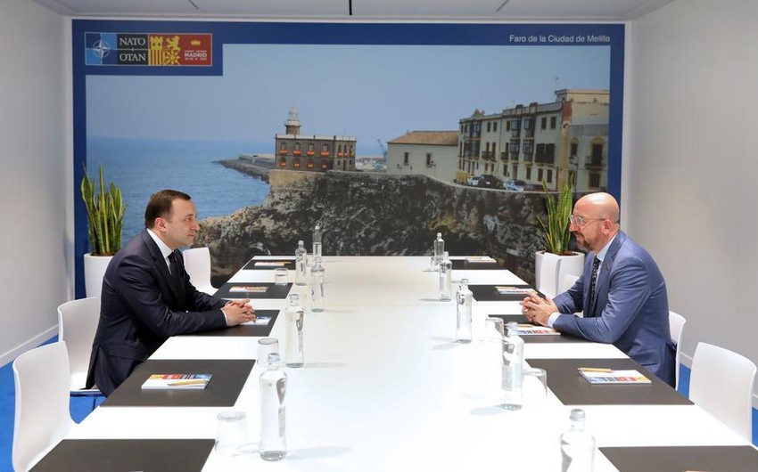 Baş nazir: “Gürcüstan Aİ-yə üzvlüyə namizəd statusu almaq üçün fəal çalışacaq”