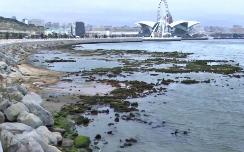 Xəzərin dayazlaşmasının qarşısını almaq üçün xüsusi ekspert qrupları yaradılacaq