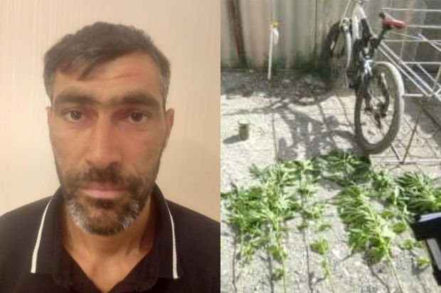 Şabranda 16 yaşlı oğlanda narkotik aşkarlandı: Əmisinin evindən götürüb - FOTO