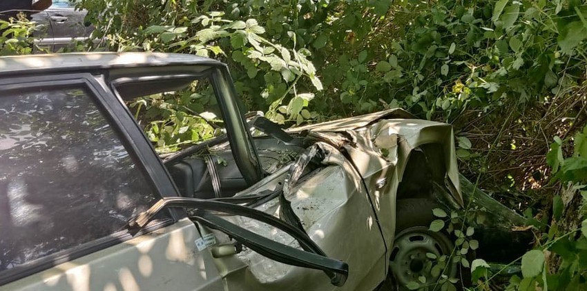 Şəkidə avtomobil ağaca çırpılıb, xəsarət alanlar var