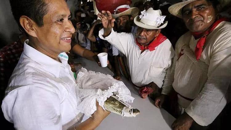 Meksikada yüzillik ənənə: Bələdiyyə sədri TİMSAHLA evləndi