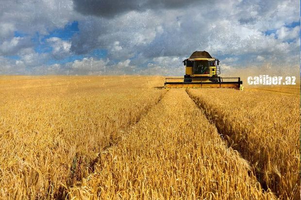 Анкара ставит на 