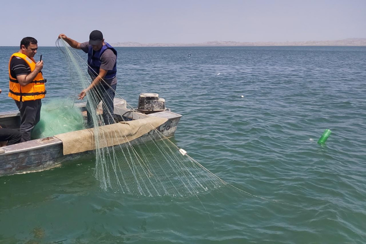 İki ildə qanunsuz balıq ovu ilə məşğul olan 953 nəfər saxlanılıb