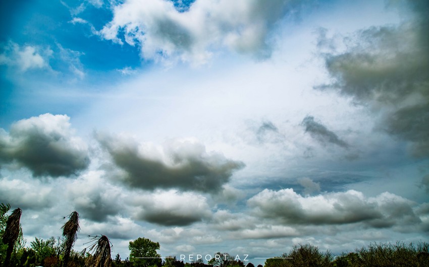 Paytaxtda hava küləkli olacaq, rayonlarda yağış yağacaq