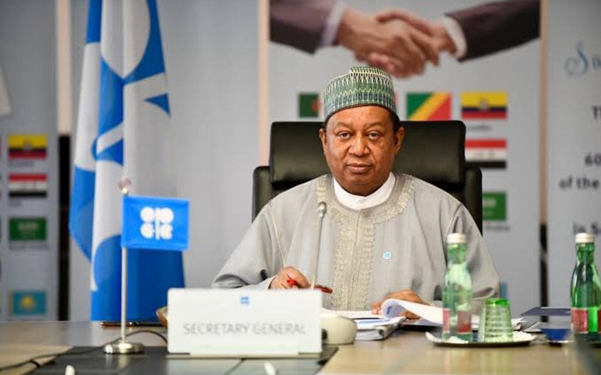 Скончался генеральный секретарь ОПЕК