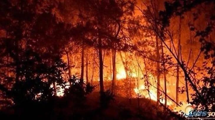 Fransada meşə yanğını: 620 hektar ərazi YANIB