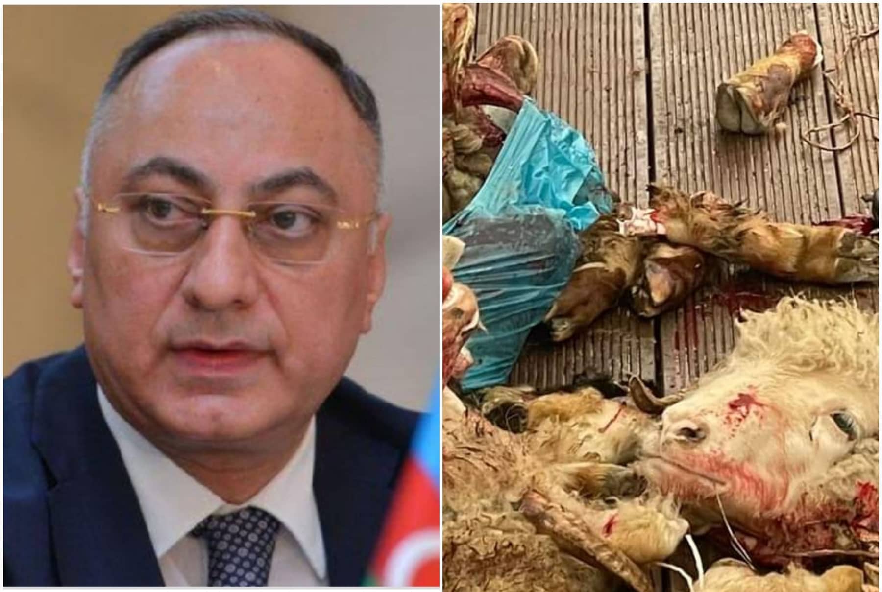 Qida Təhlükəsizliyi Agentliyi tam fəaliyyətsiz hala düşüb: HƏR YERDƏ ANTİSANİTARİYA, ÖZBAŞINALIQ, XAOS HÖKM SÜRÜR (FOTO)