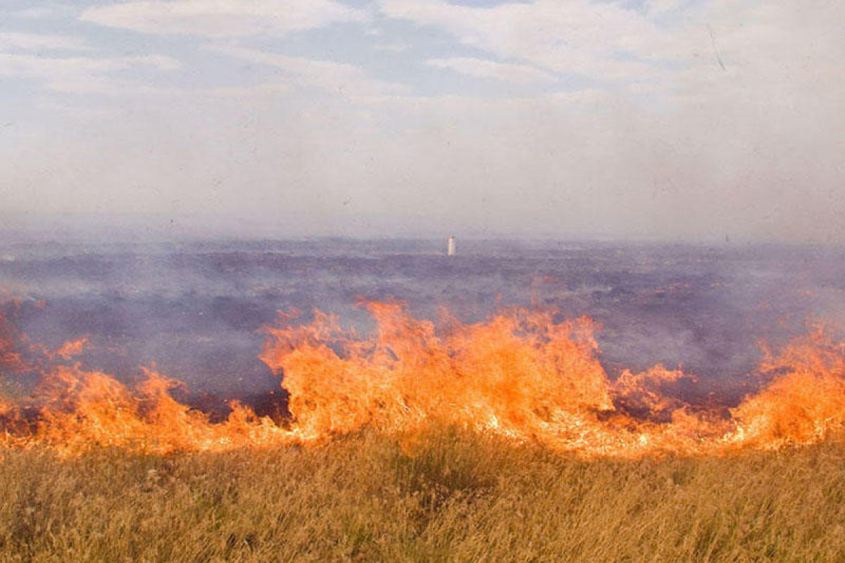 Şabranda yanğın baş verən ərazidə elektrik verilişi dayandırılıb -YEBİLƏNİB