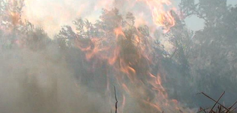 Şabranda güclü yanğın - VİDEO - FOTO