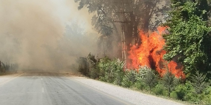 Xaçmazda yanğının söndürülməsinə iki helikopter və amfibiya tipli təyyarə cəlb olunub -YENİLƏNİB