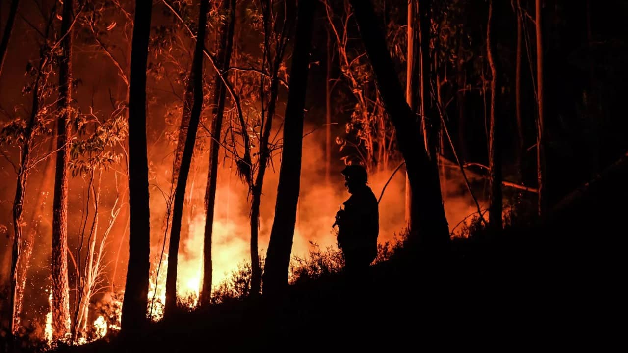 Portuqaliyada meşə yanğını davam edir: 29 YARALI VAR