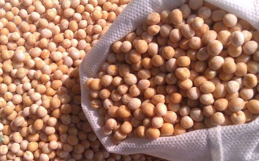 NYT: Конфликт в Украине может привести к дефициту хумуса